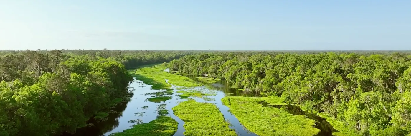 Aerial view of the Wekiva River's Wild & Scenic green corridor beside the Wekiva Springs area of Longwood FL