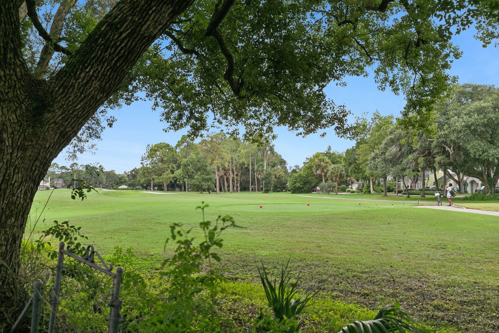 Backyard live oak with open Dubsdread Golf Course views at 3306 Eagle Blvd