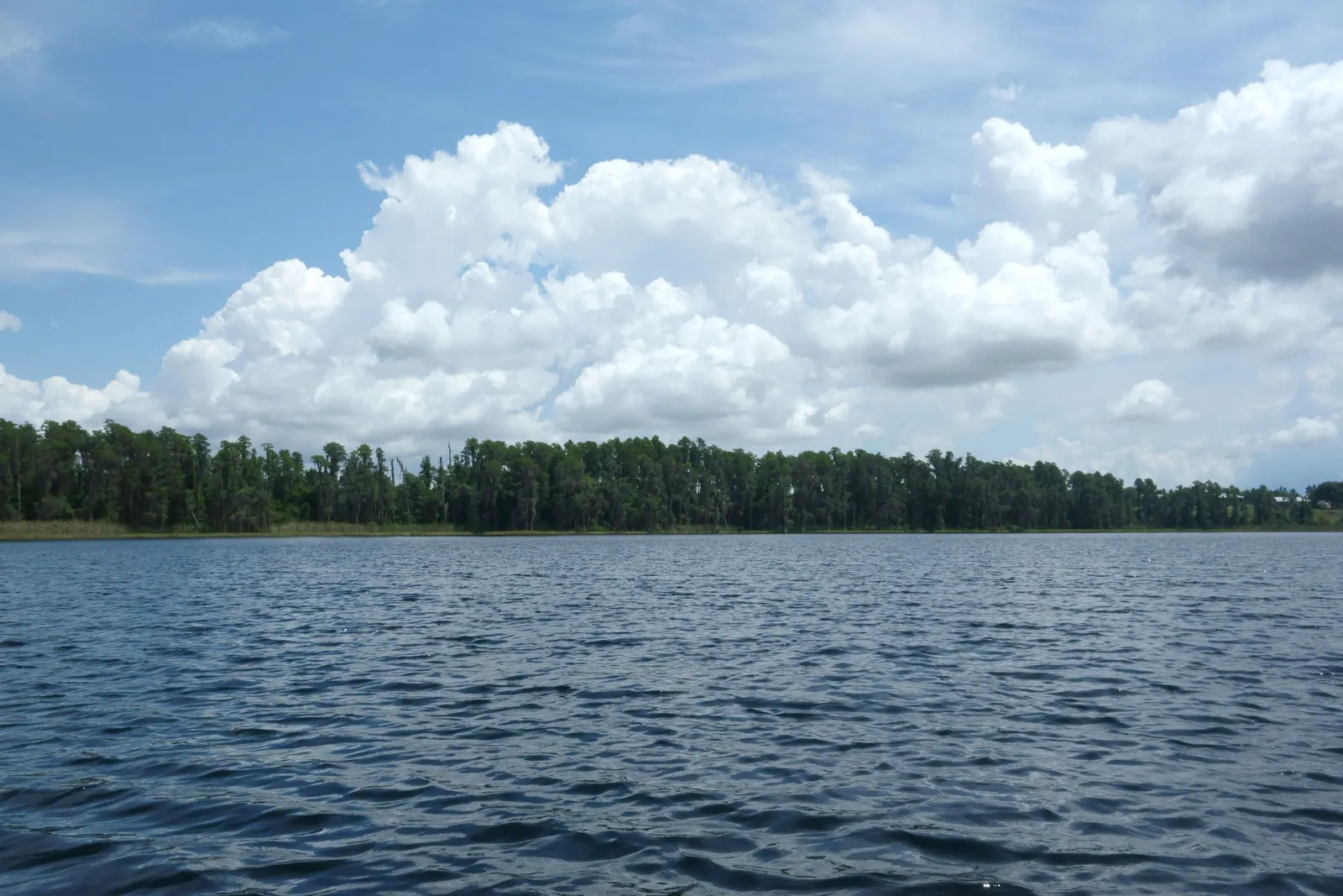 Dixie Lake at Lake Louisa State Park, 15 minutes south of Groveland FL